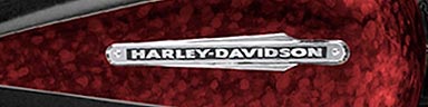 33 New Harley Davidson's for 2009