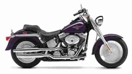 2002 Harley-Davidson FLSTF/FLSTFI Fat Boy