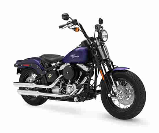 2010 Harley-Davidson Cross Bones FLSTSB