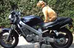 1988 Bros NT650