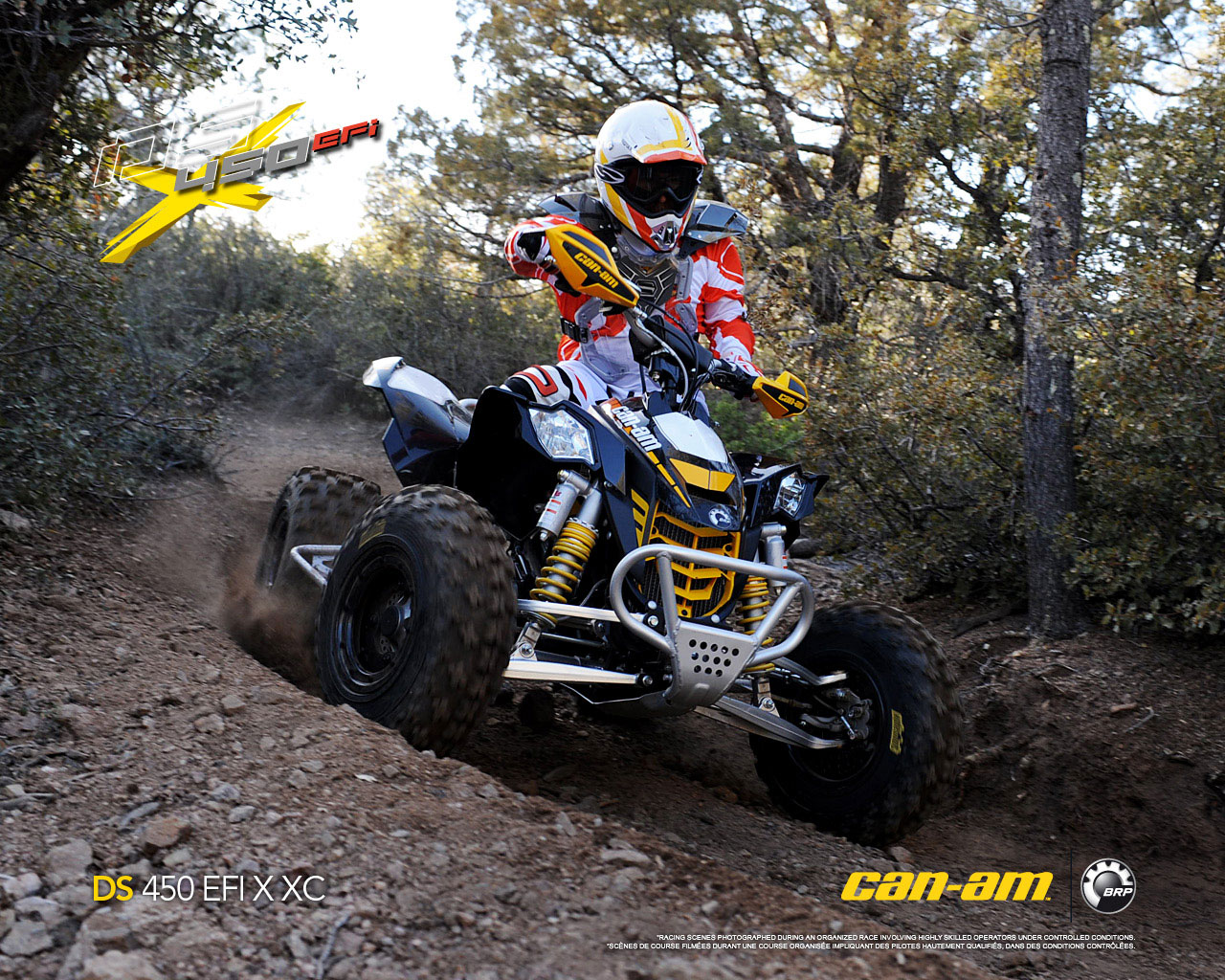 2009 can am