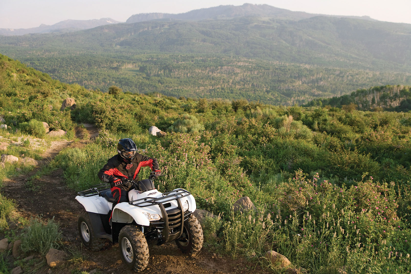 2009 Honda FourTrax Rancher AT with Power Steering TRX420FPA