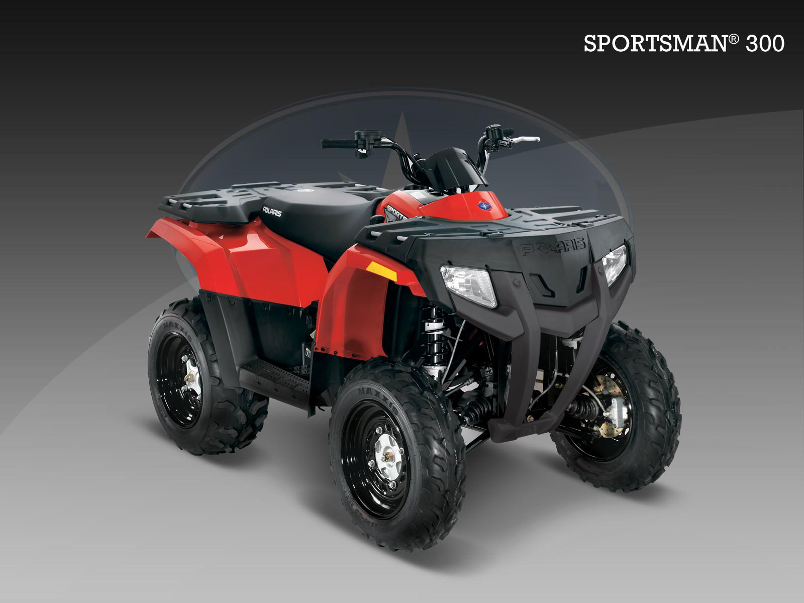 quad polaris 300