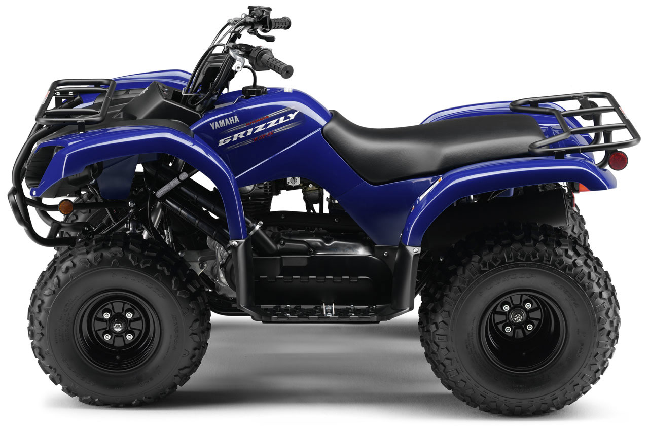 quad yamaha grizzly 125