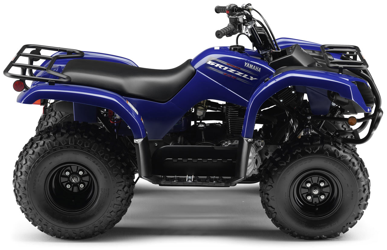 2010 Yamaha  Grizzly 125