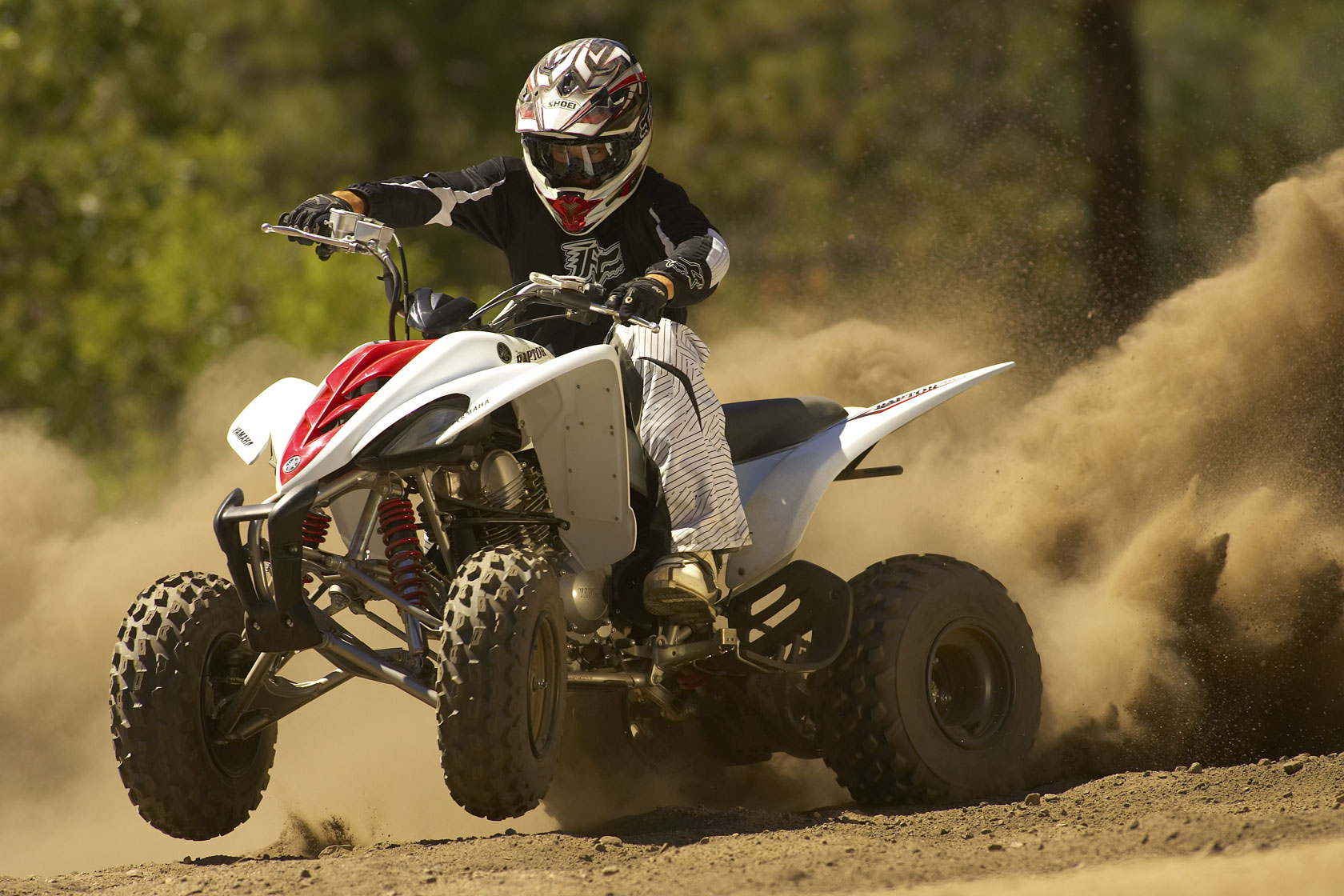 Josh ford quad cities #7