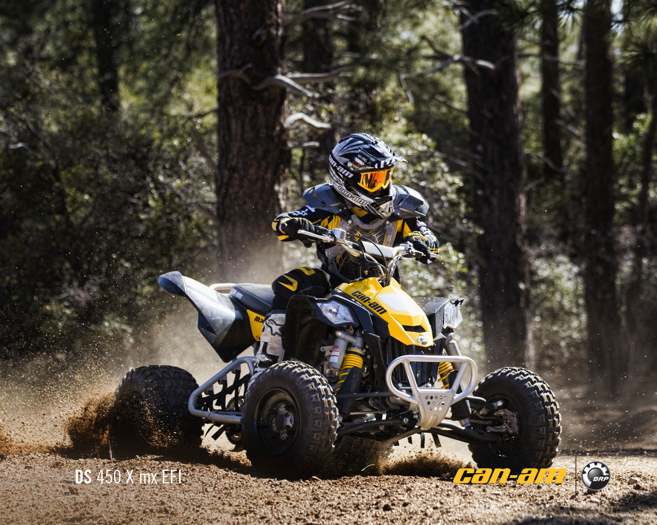 Can Am Ds 450 >> 2011 Can Am Ds 450 X Mx Can Am Ds 450 >> 2011 Can Am Ds 450 X Mx