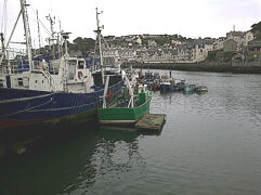 Brixham%20Harbour.jpg