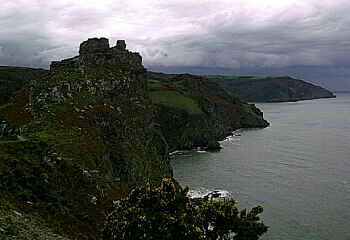 Gorse%20view.jpg