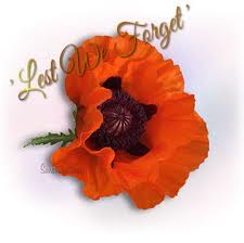 real poppy.jpg