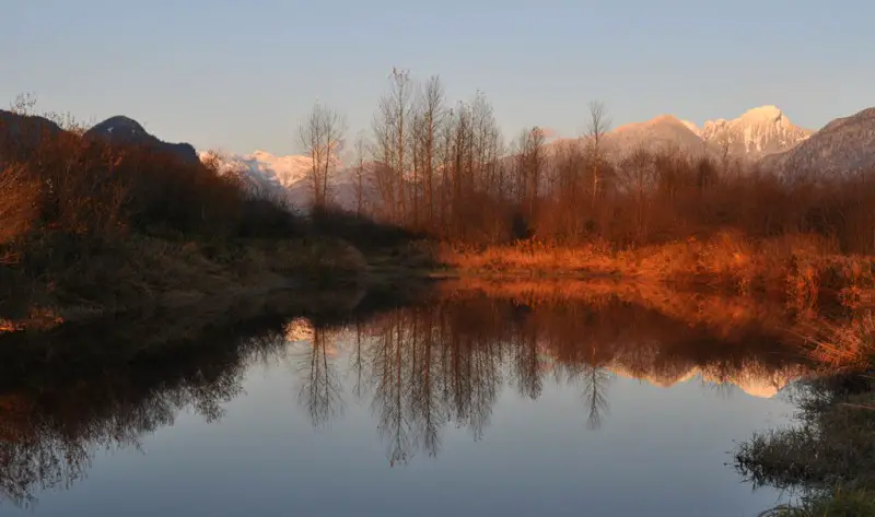 Pond by Pitt Lake.jpg