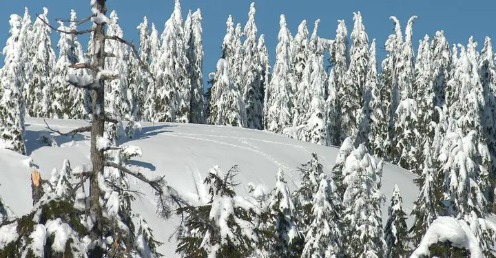 snowy scene up seymour.jpg
