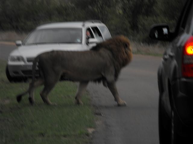 DSCF2493.JPG