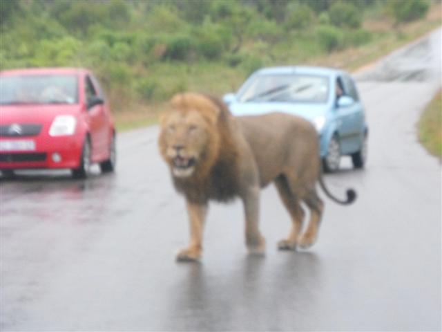DSCF2635.JPG