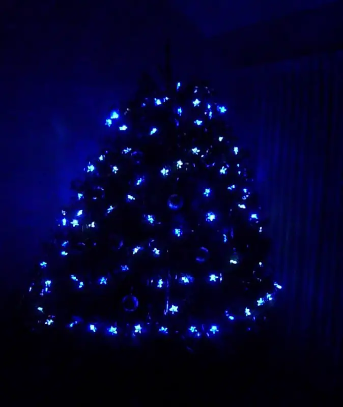 blue tree in dark room.jpg