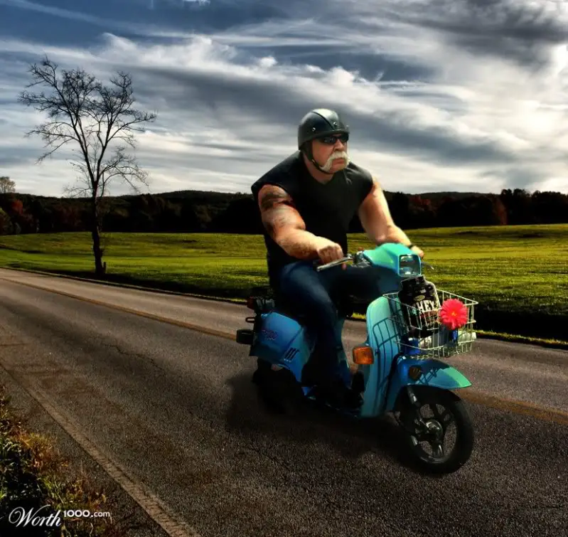 Funny scoot pic.jpg