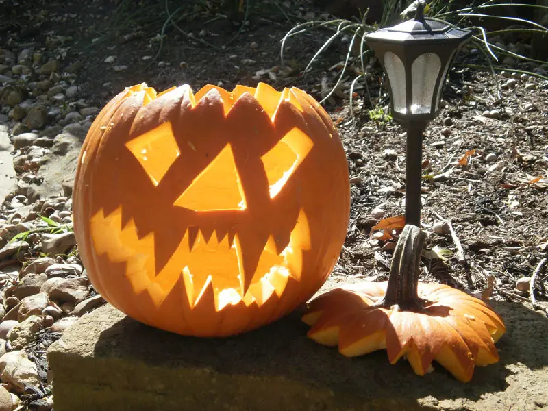 My Pumpkin