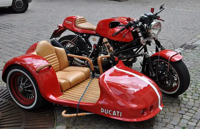 ~~~~Duc.jpg
