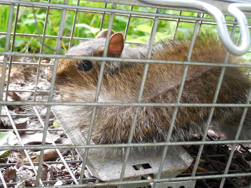 Inmate #10.