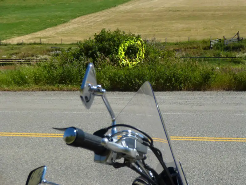 butterfly and bike.jpg