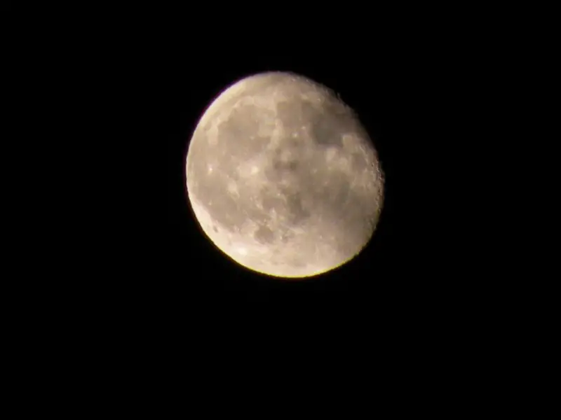 DSCN0335.jpg