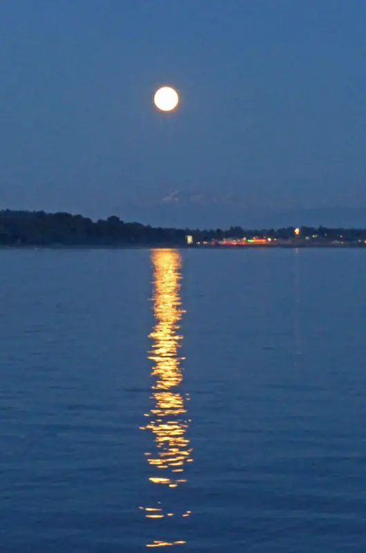 Super Moon vertical_edited-1.jpg