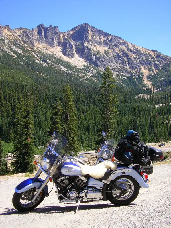 in the Cascades.jpg