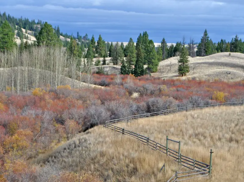 Ranchland.jpg