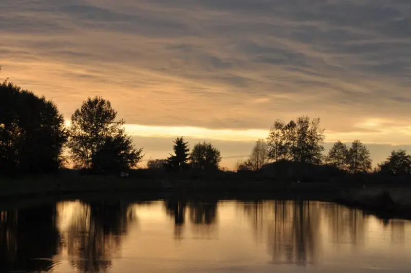 Sunset at the Fen.jpg