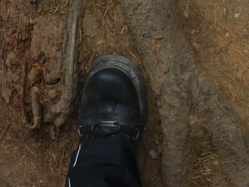 boots and roots.JPG