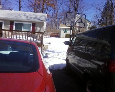 after 2 days of 50 degree plus weather.jpeg