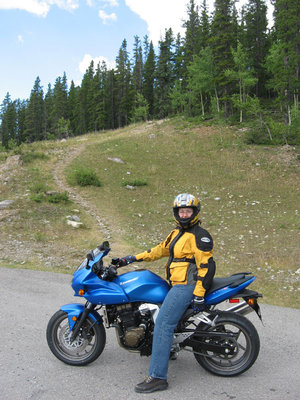 Yellow gear