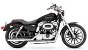 New 2006 Harley-Davidson XL1200L
