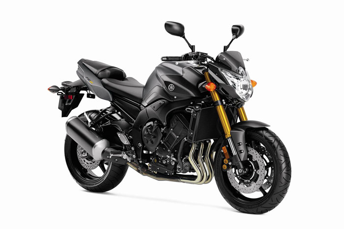 2012-Yamaha-FZ8f-small.jpg