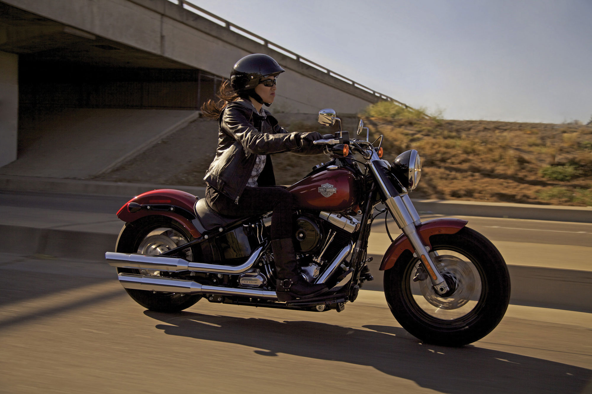 bassani exhaust dyna
