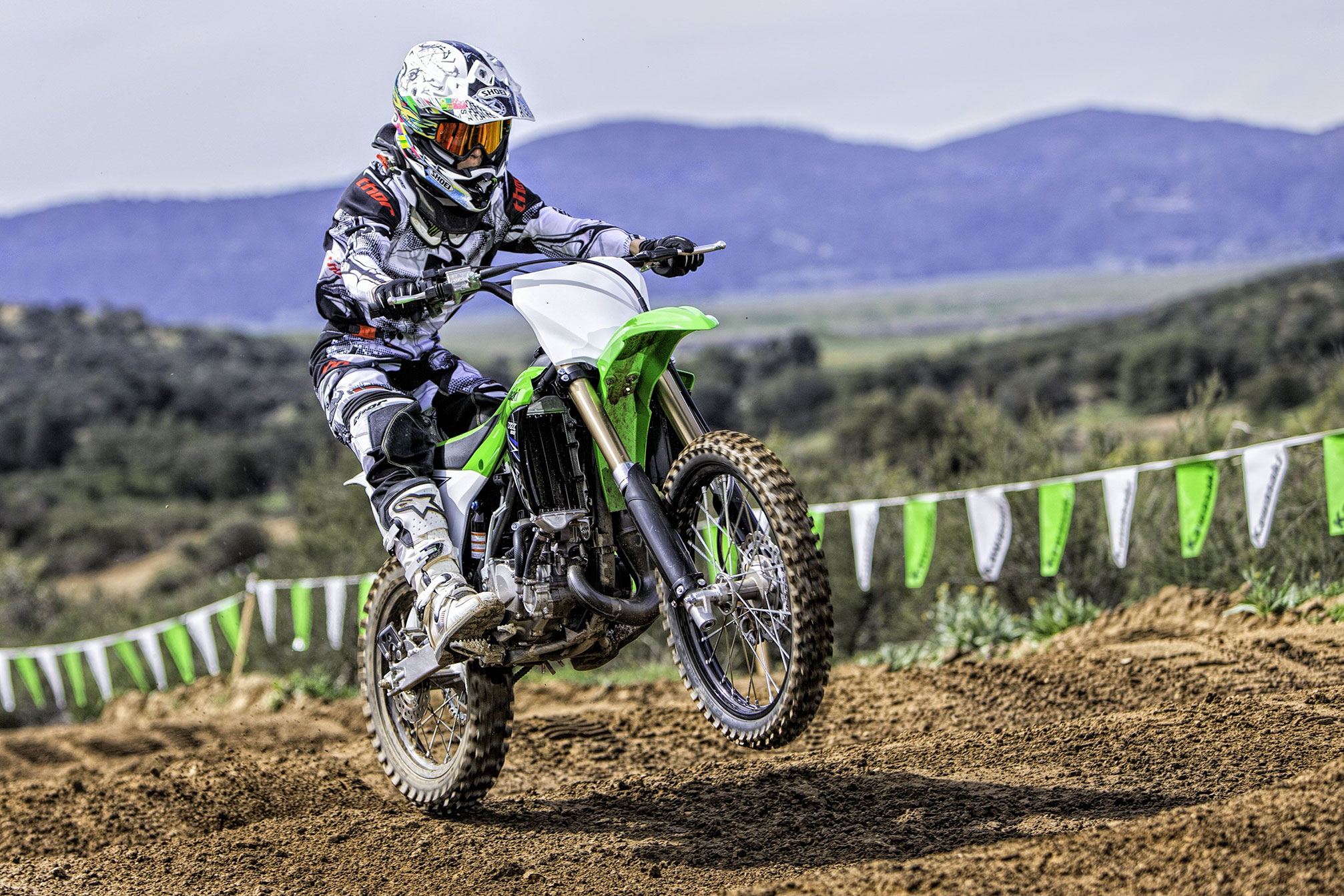 2016 kawasaki kx100