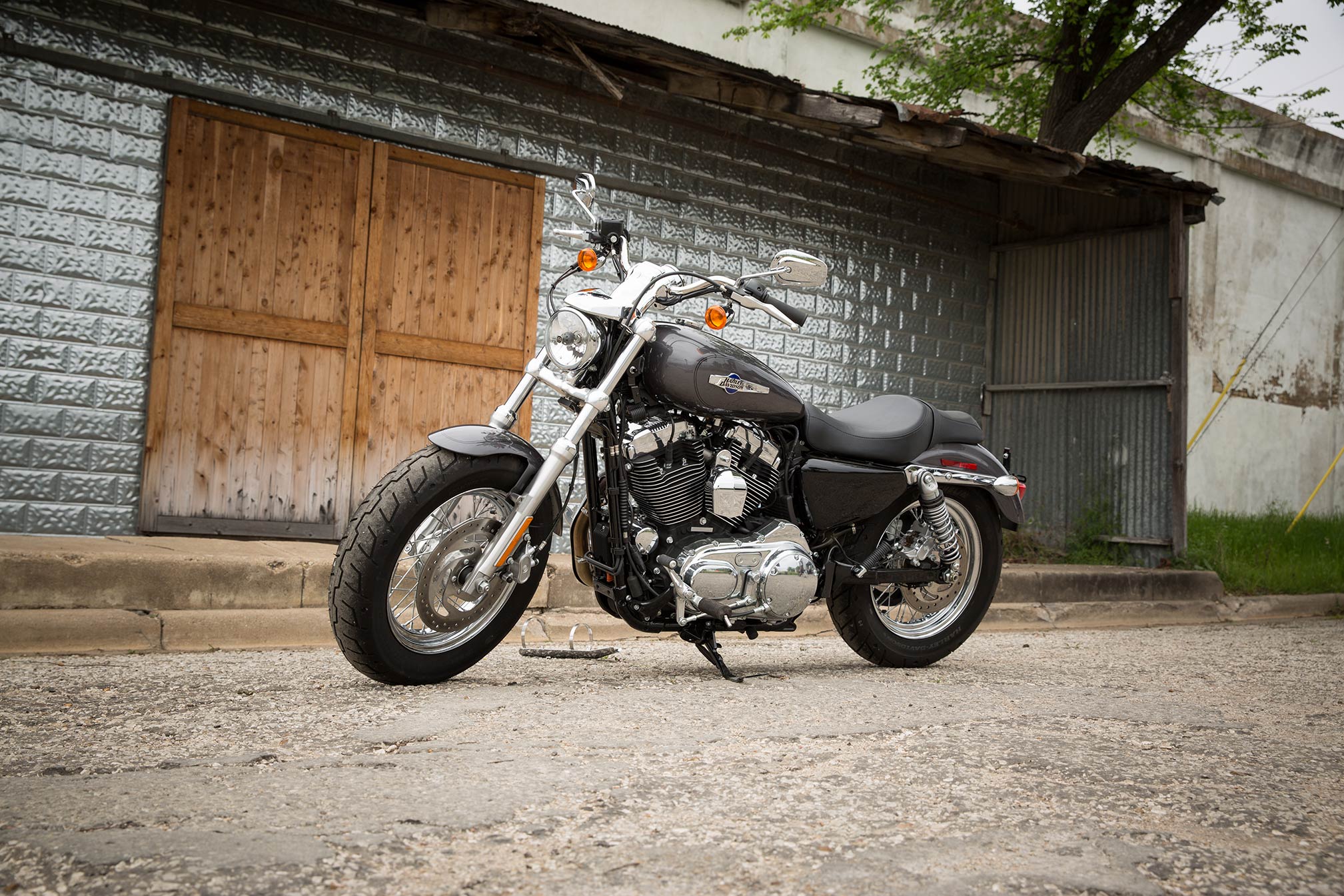 harley roadster custom