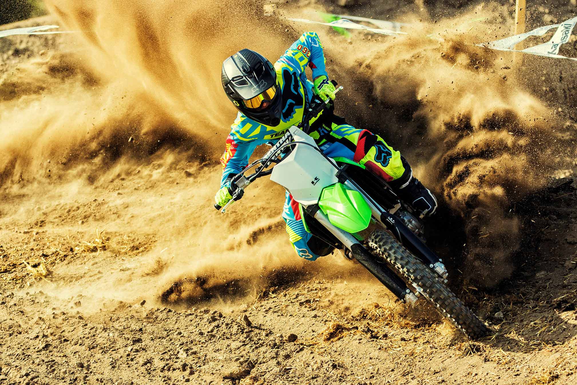 gomoto 250cc