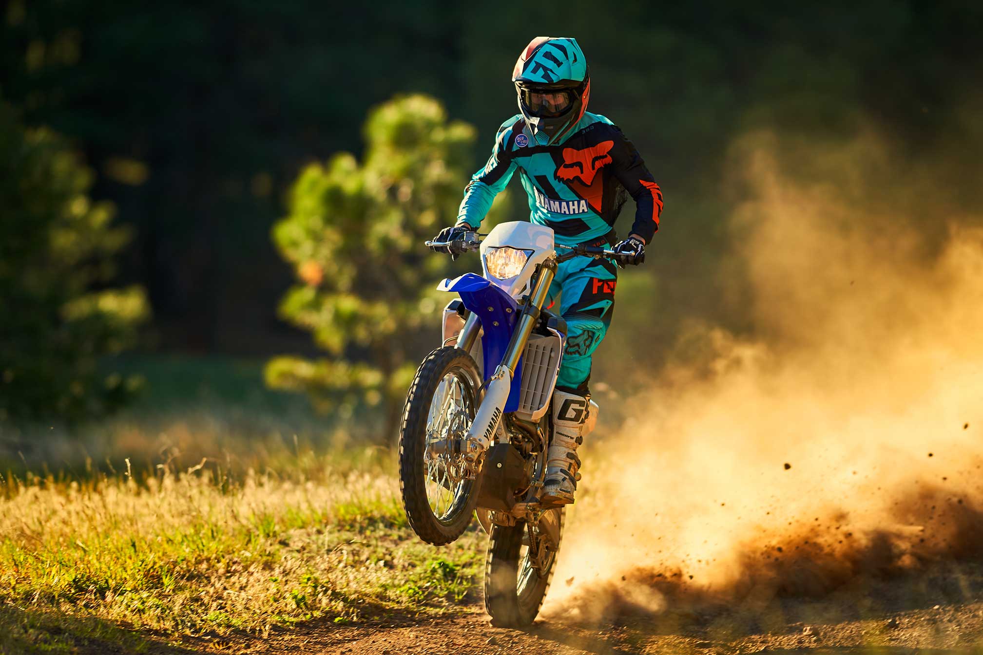 2017 wr250f