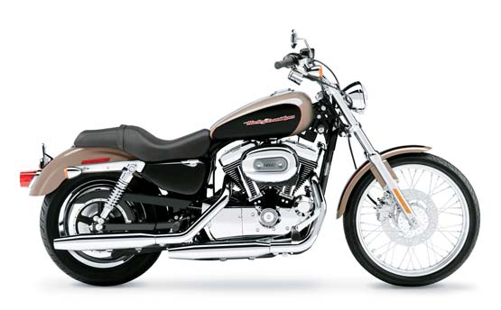 2004 Harley-Davidson XL 1200C Sportster Custom 
