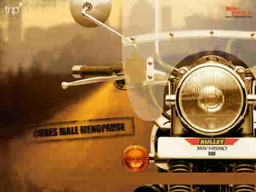 2007 Royal Enfield Bullet Machismo 500 