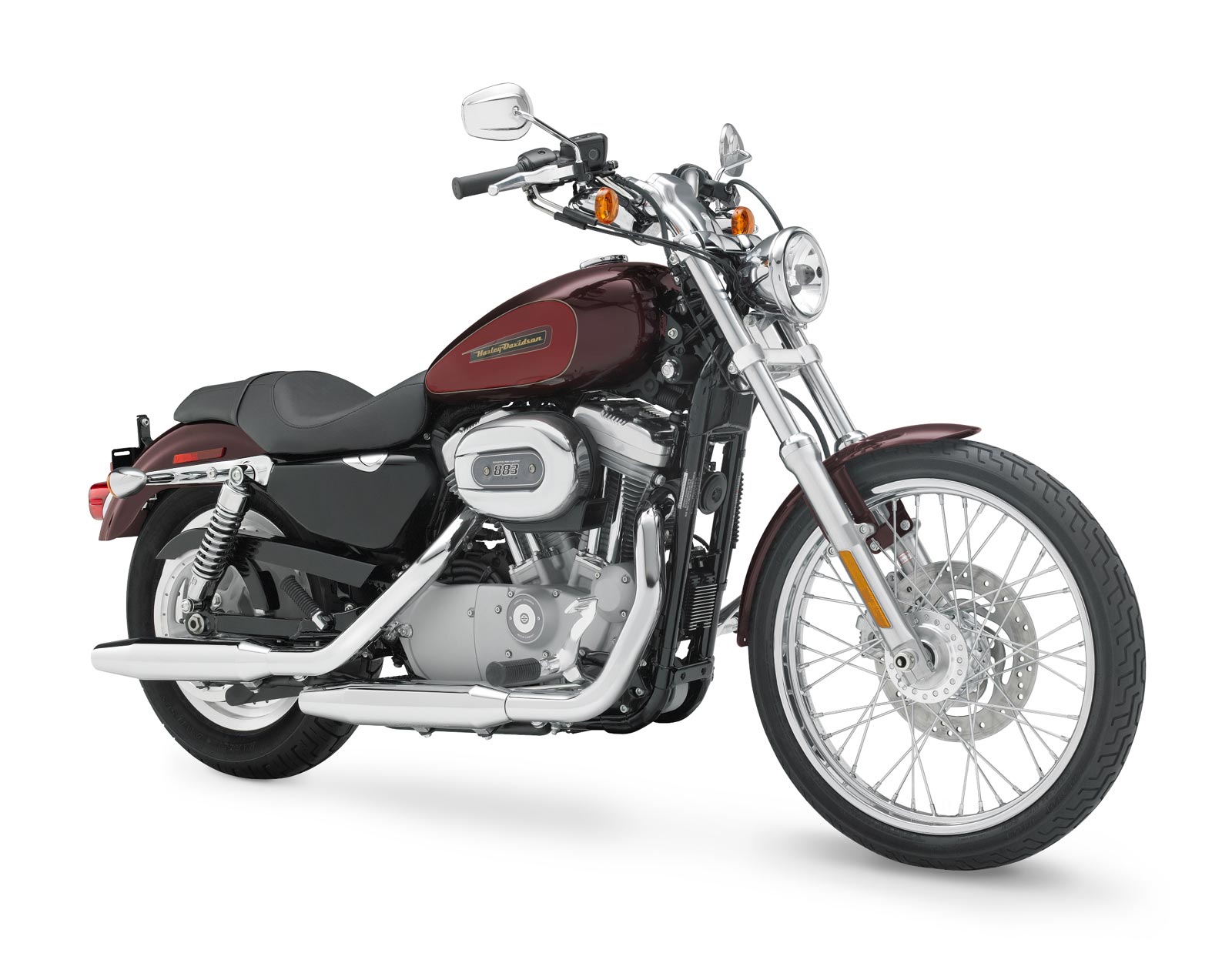 2008 Harley  Davidson  XL  883C Sportster 883  Custom