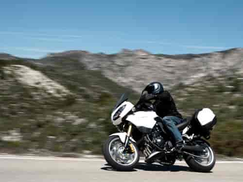 2008 Triumph Tiger 