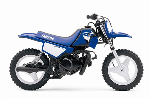 2008 Yamaha PW50 (2-Stroke) 