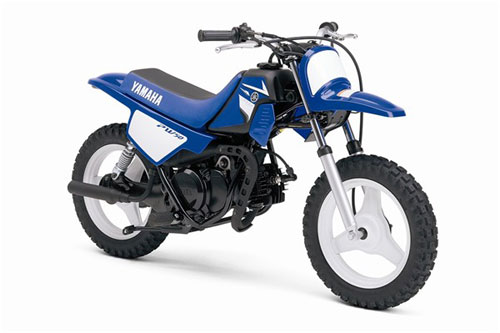 2008 Yamaha PW50 (2-Stroke) 