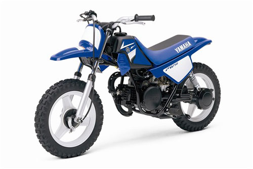 2008 Yamaha PW50 (2-Stroke) 