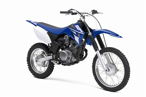 2008 Yamaha TT-R125E 