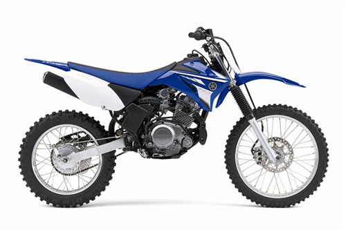 2008 Yamaha TT-R125LE 