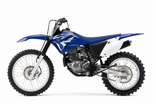 2008 Yamaha TT-R230 