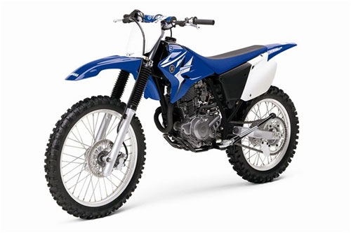 2008 Yamaha TT-R230 